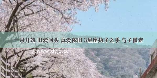 一月开始 旧爱回头 真爱依旧 3星座执子之手 与子偕老