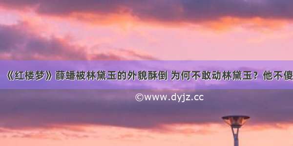 《红楼梦》薛蟠被林黛玉的外貌酥倒 为何不敢动林黛玉？他不傻