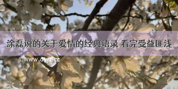 涂磊说的关于爱情的经典语录 看完受益匪浅