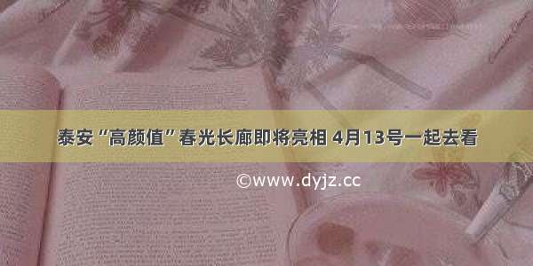 泰安“高颜值”春光长廊即将亮相 4月13号一起去看