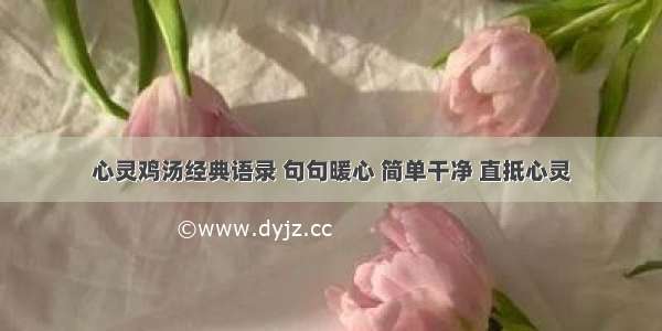 心灵鸡汤经典语录 句句暖心 简单干净 直抵心灵