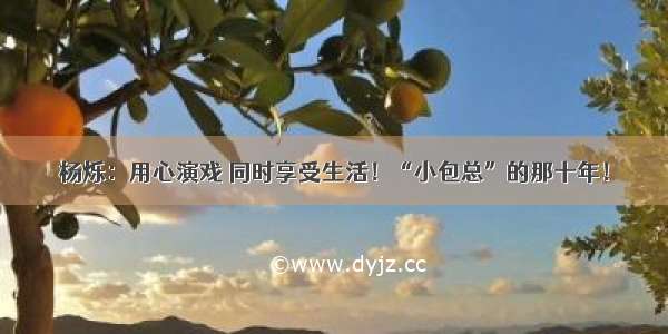 杨烁：用心演戏 同时享受生活！“小包总”的那十年！