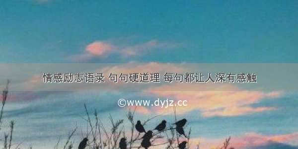 情感励志语录 句句硬道理 每句都让人深有感触