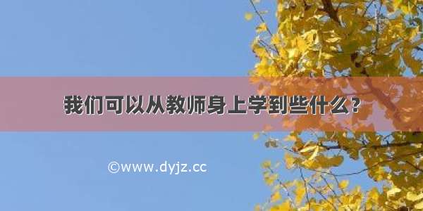 我们可以从教师身上学到些什么？