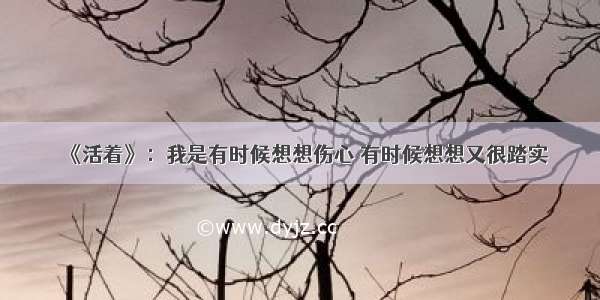 《活着》：我是有时候想想伤心 有时候想想又很踏实