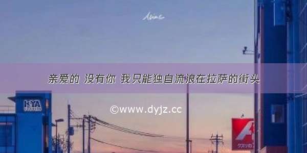 亲爱的 没有你 我只能独自流浪在拉萨的街头