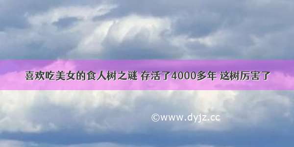 喜欢吃美女的食人树之谜 存活了4000多年 这树厉害了