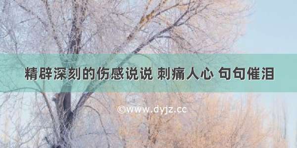 精辟深刻的伤感说说 刺痛人心 句句催泪