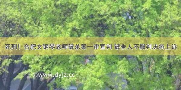 死刑！合肥女钢琴老师被杀案一审宣判 被告人不服判决将上诉