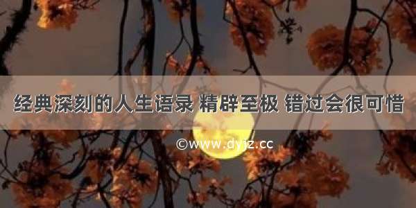 经典深刻的人生语录 精辟至极 错过会很可惜