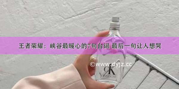 王者荣耀：峡谷最暖心的7句台词 最后一句让人想哭