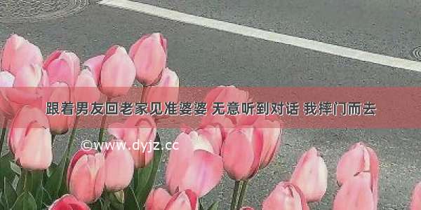 跟着男友回老家见准婆婆 无意听到对话 我摔门而去