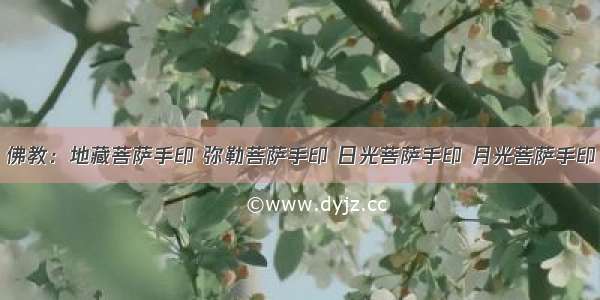 佛教：地藏菩萨手印 弥勒菩萨手印 日光菩萨手印 月光菩萨手印