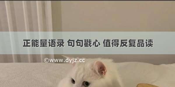 正能量语录 句句戳心 值得反复品读