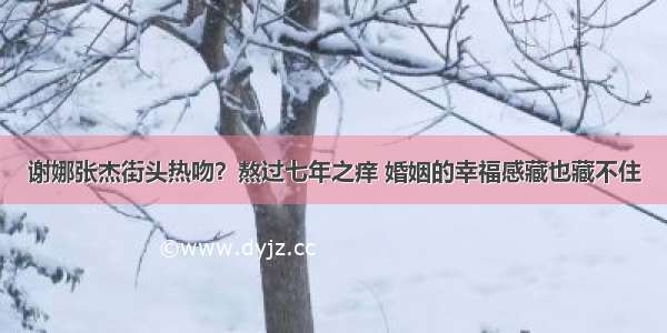 谢娜张杰街头热吻？熬过七年之痒 婚姻的幸福感藏也藏不住