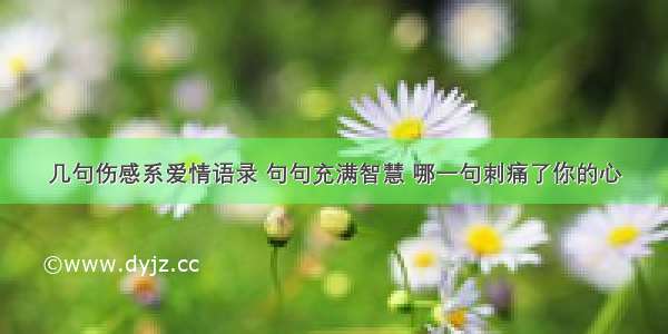 几句伤感系爱情语录 句句充满智慧 哪一句刺痛了你的心