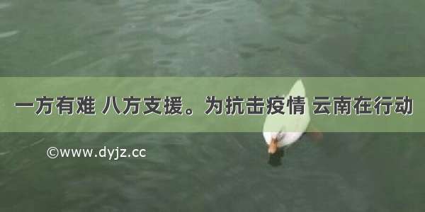 一方有难 八方支援。为抗击疫情 云南在行动