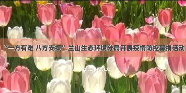 “一方有难 八方支援” 兰山生态环境分局开展疫情防控募捐活动