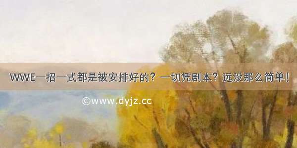 WWE一招一式都是被安排好的？一切凭剧本？远没那么简单！