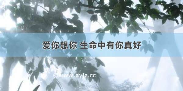 爱你想你 生命中有你真好