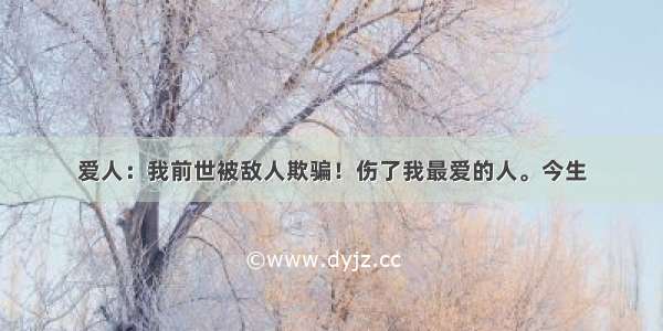 爱人：我前世被敌人欺骗！伤了我最爱的人。今生