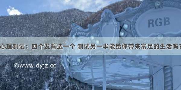 心理测试：四个发簪选一个 测试另一半能给你带来富足的生活吗？