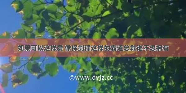 如果可以这样爱 像保剑锋这样的霸道总裁谁不想拥有