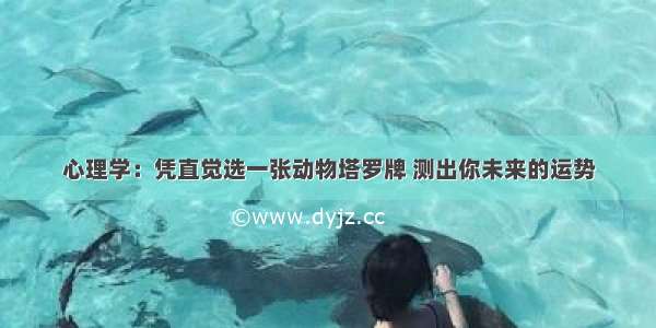 心理学：凭直觉选一张动物塔罗牌 测出你未来的运势