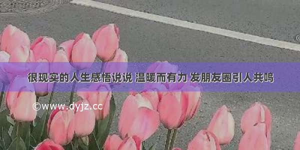 很现实的人生感悟说说 温暖而有力 发朋友圈引人共鸣