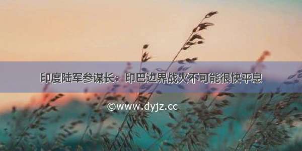 印度陆军参谋长：印巴边界战火不可能很快平息