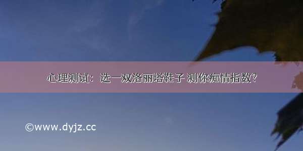 心理测试：选一双洛丽塔鞋子 测你痴情指数？