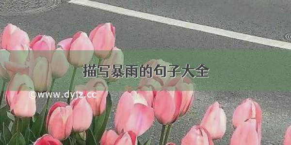 描写暴雨的句子大全