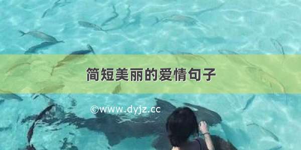 简短美丽的爱情句子