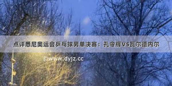 点评悉尼奥运会乒乓球男单决赛：孔令辉VS瓦尔德内尔