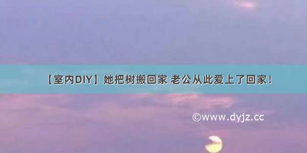 【室内DIY】她把树搬回家 老公从此爱上了回家！