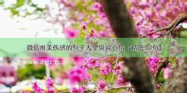 微信唯美伤感的句子大全说说心情【精选30句】