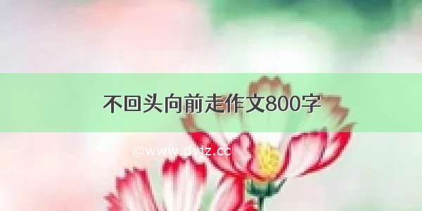 不回头向前走作文800字