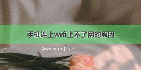 手机连上wifi上不了网的原因