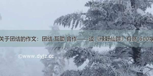 关于团结的作文：团结 互助 合作——读《绿野仙踪》有感_600字