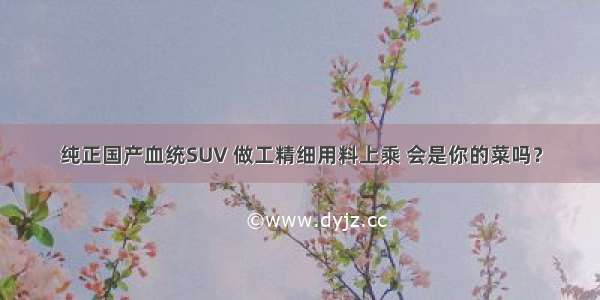 纯正国产血统SUV 做工精细用料上乘 会是你的菜吗？