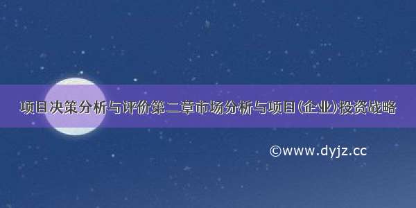 项目决策分析与评价第二章市场分析与项目(企业)投资战略