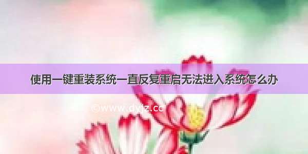 使用一键重装系统一直反复重启无法进入系统怎么办