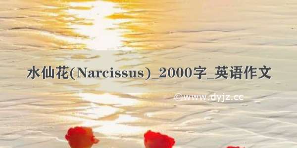 水仙花(Narcissus)_2000字_英语作文