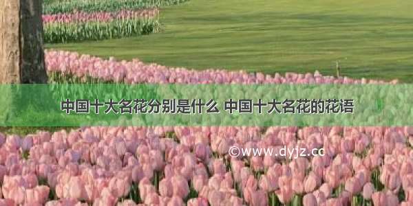 中国十大名花分别是什么 中国十大名花的花语