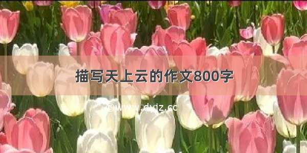 描写天上云的作文800字