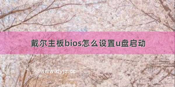 戴尔主板bios怎么设置u盘启动