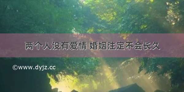 两个人没有爱情 婚姻注定不会长久