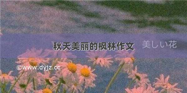 秋天美丽的枫林作文