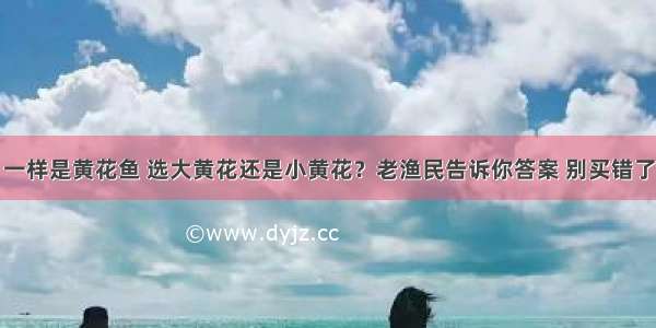 一样是黄花鱼 选大黄花还是小黄花？老渔民告诉你答案 别买错了