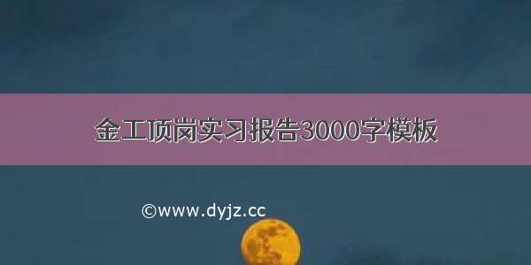 金工顶岗实习报告3000字模板